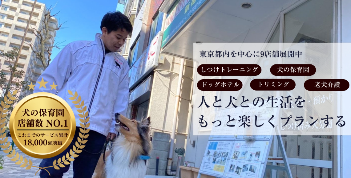 有限会社ディーエルピー
