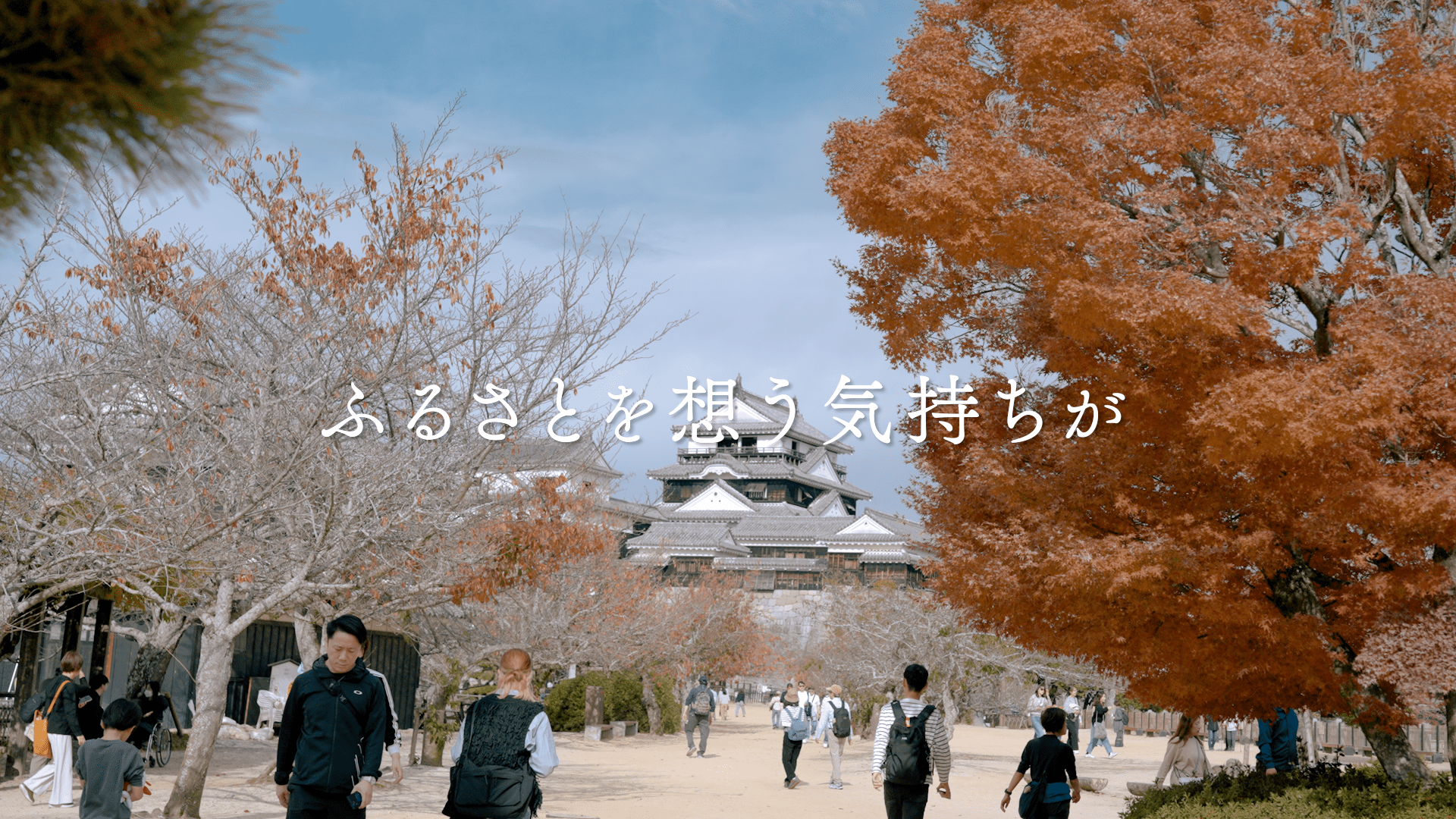WHYイメージ1