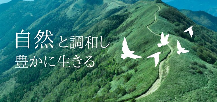 株式会社ジオシステム