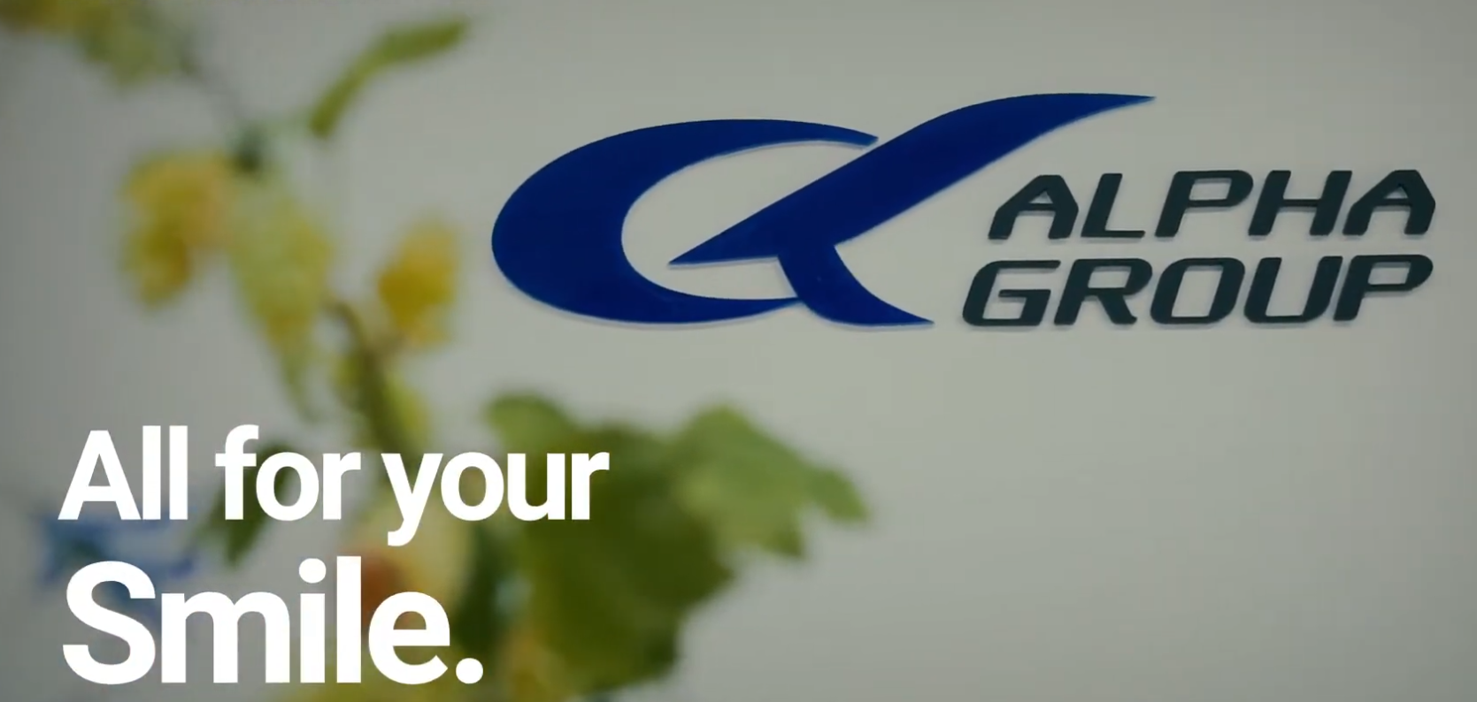 アルファインターナショナル株式会社